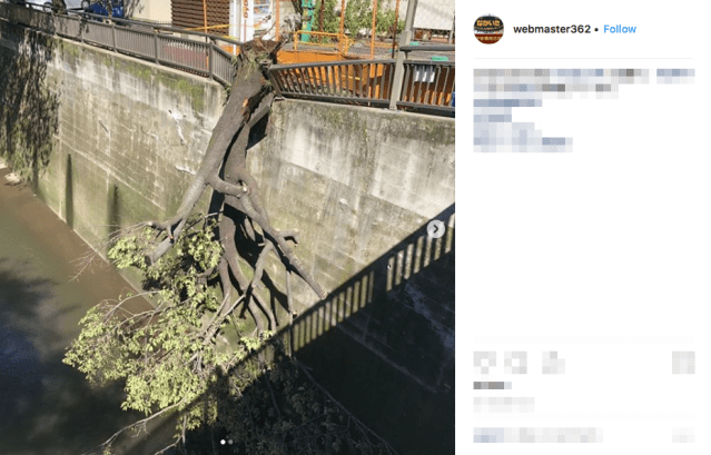Typhoon Trami batters Japan, hits close to Tokyo with fierce winds 【Photos & Videos】